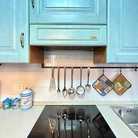 Itadhome - Hidden Window 阿尔盖罗